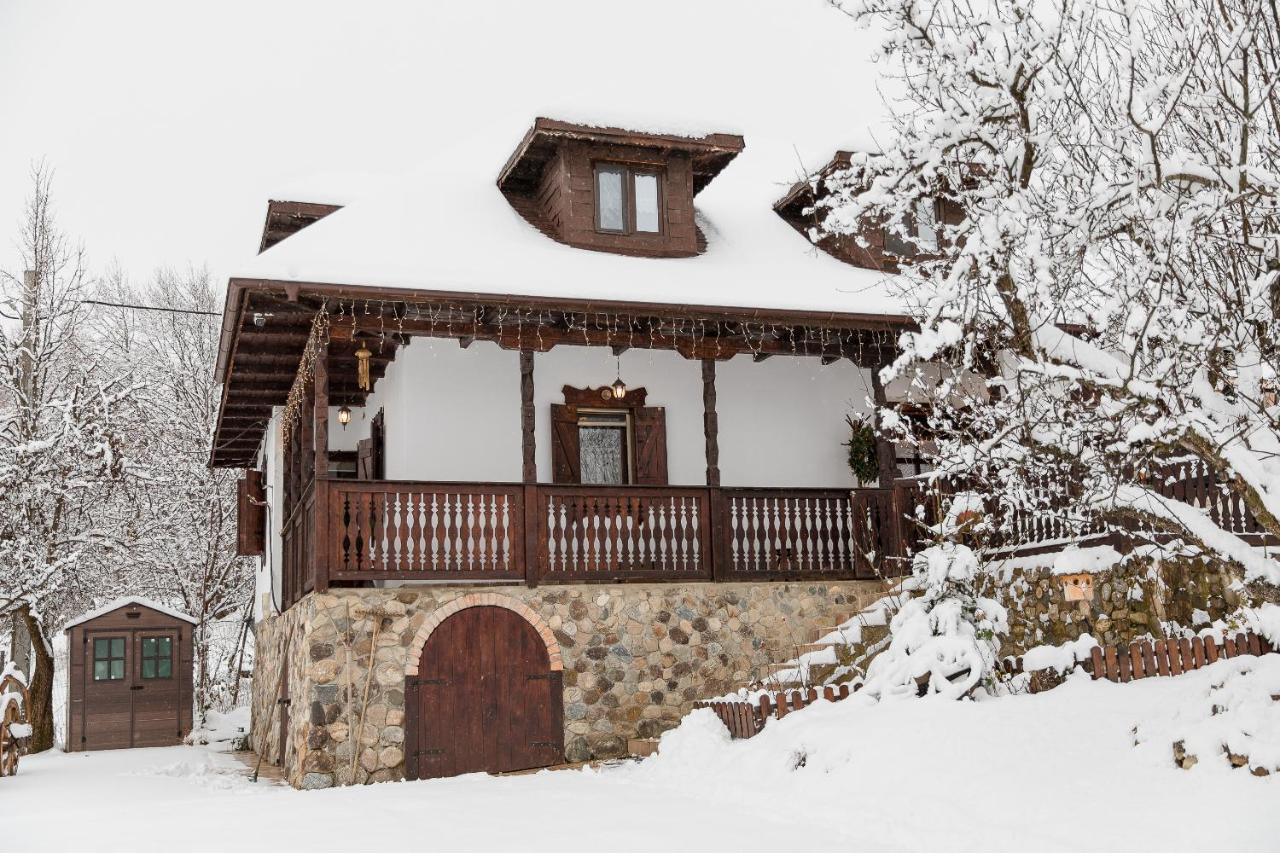 Вілла Casa Cu Cerdac Nucsoara  Екстер'єр фото